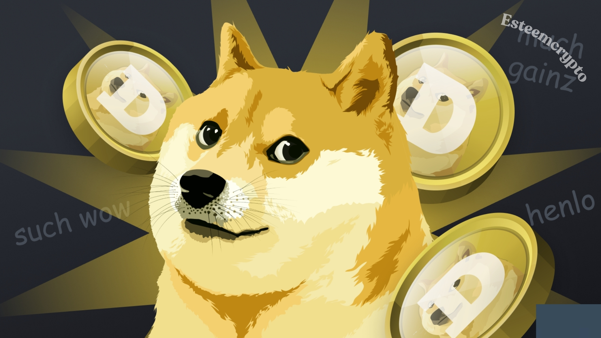 Dogecoin Use Cases