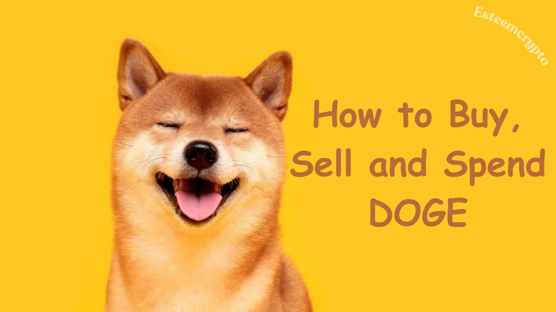 How to Buy, Sell and Spend DOGE