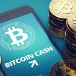 What is Bitcoin Cash—How Does BCH Work?