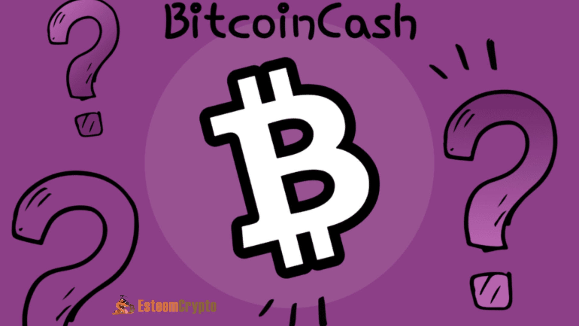 How does Bitcoin Cash Work?