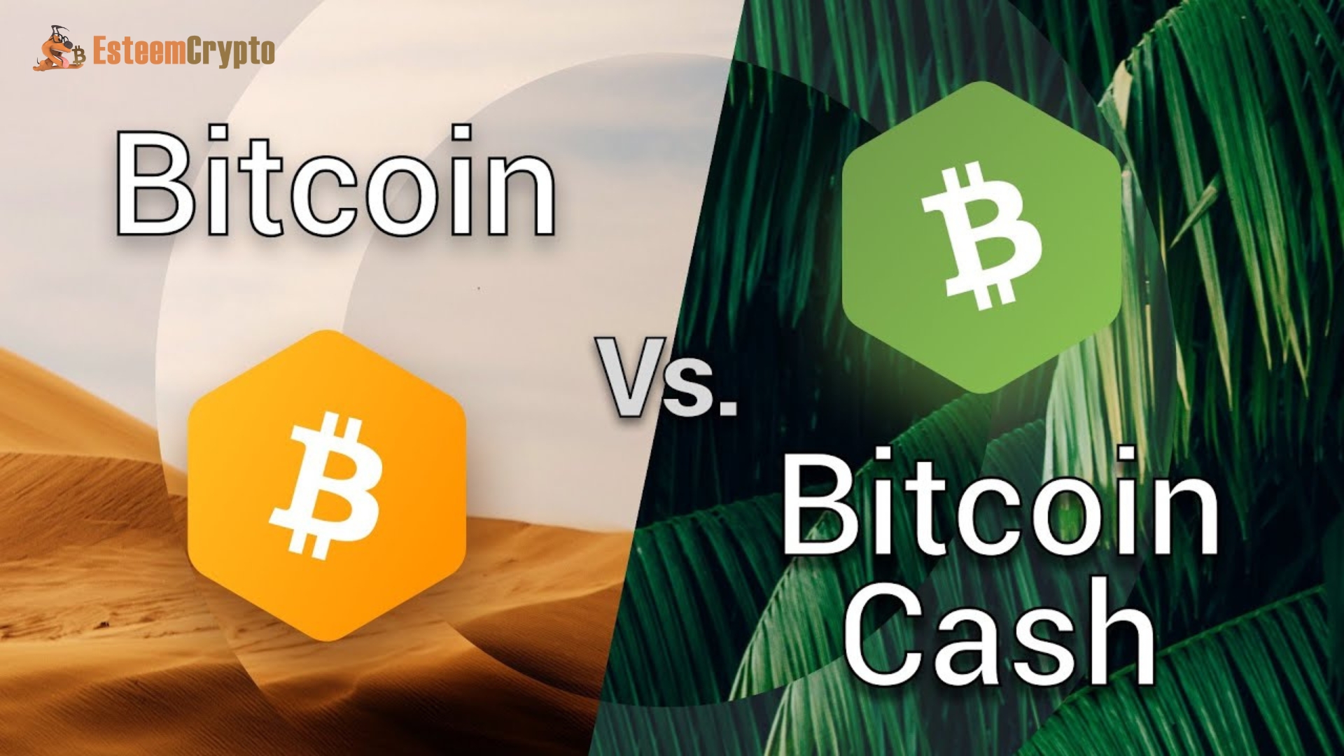 What is Bitcoin vs. Bitcoin Cash?