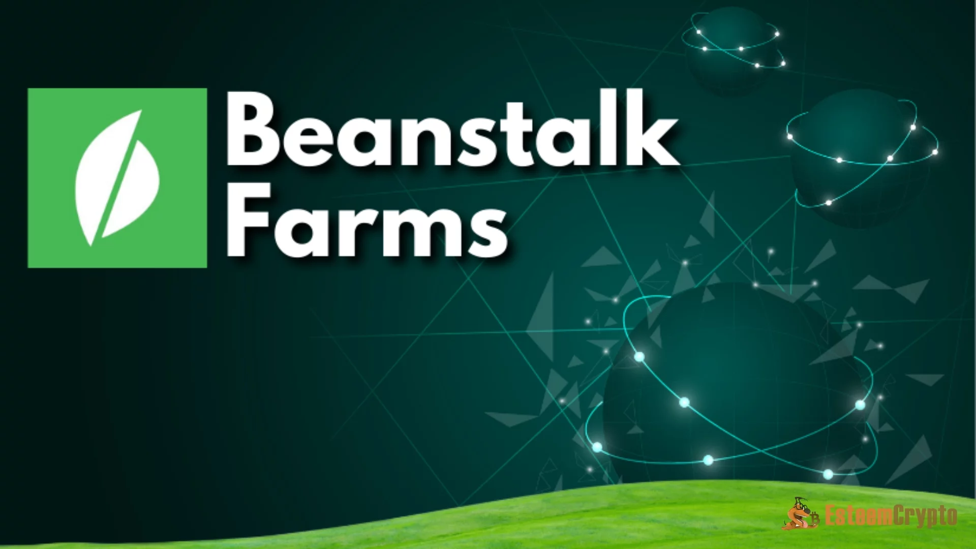 Beanstalk Farms