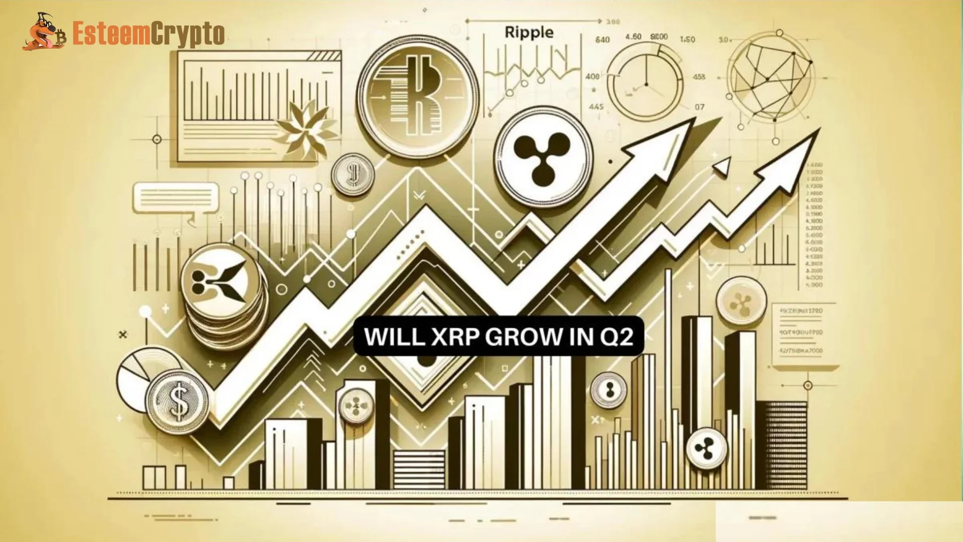 What Does The Future Hold For XRP?