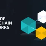 Types of Blockchain Networks: A Guide By Esteemcrypto