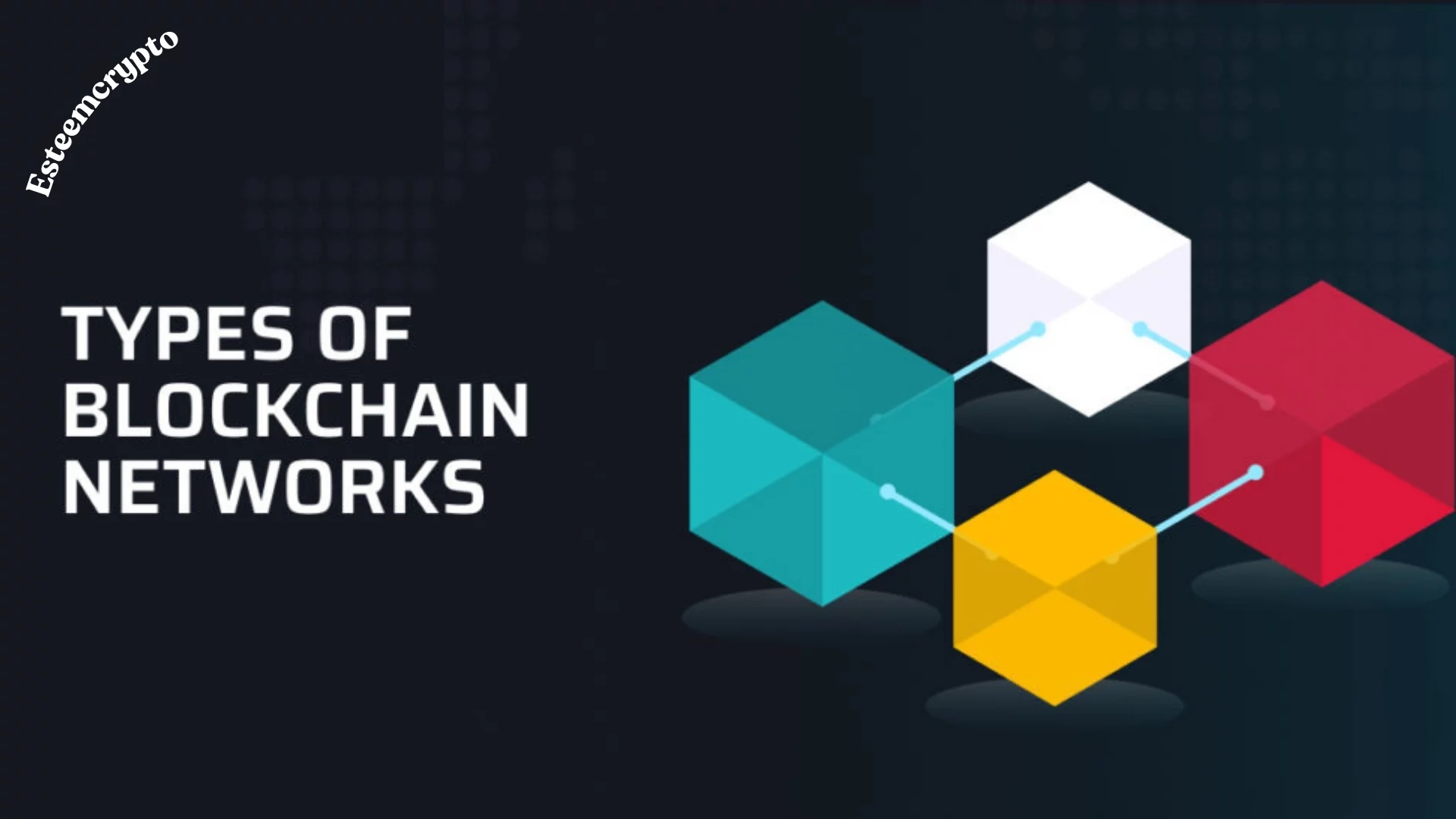 Types of Blockchain Networks: A Guide By Esteemcrypto