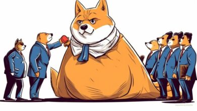 Institutional Investors Fund Shiba Inu Memecoin at $12M