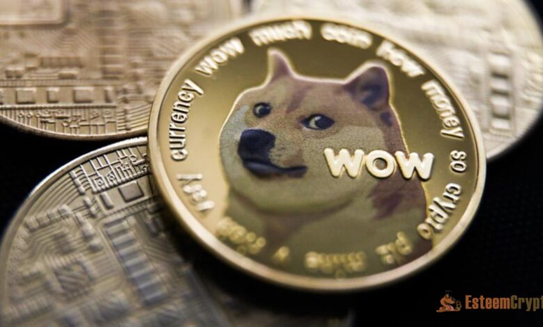 What Makes Meme Coins a Good Investment?