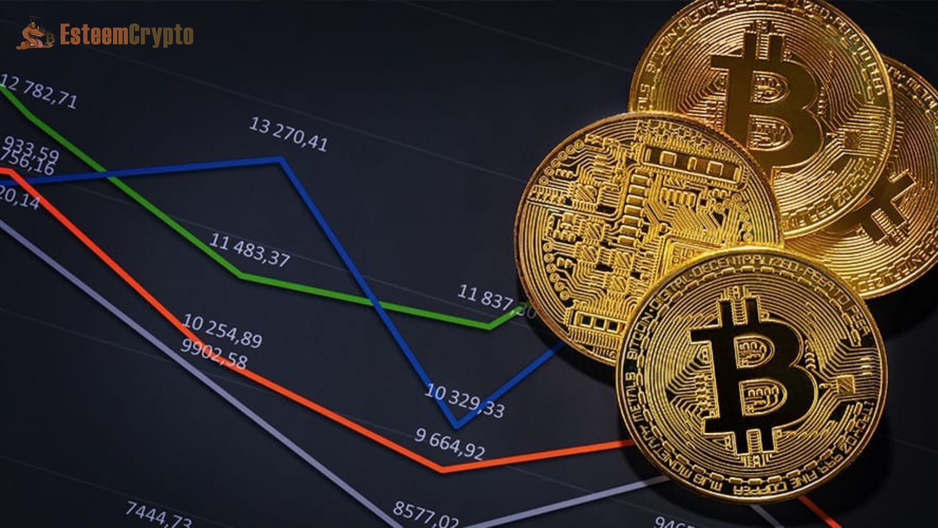 Bitcoin's Market Share