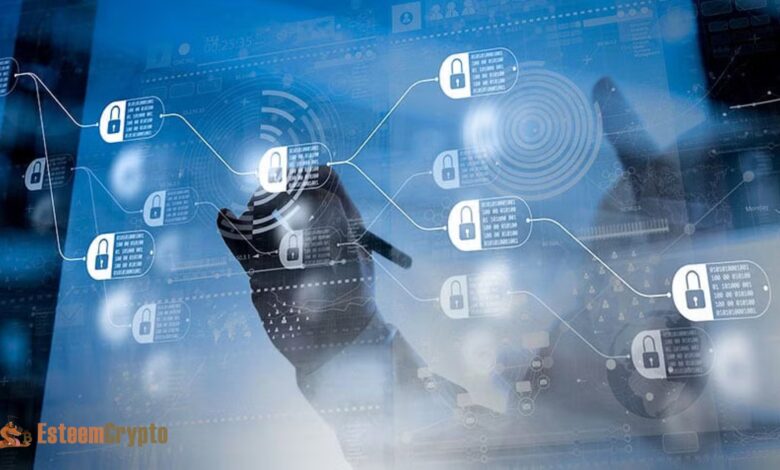 Blockchain Security: An In-depth Explanation By Esteemcrypto
