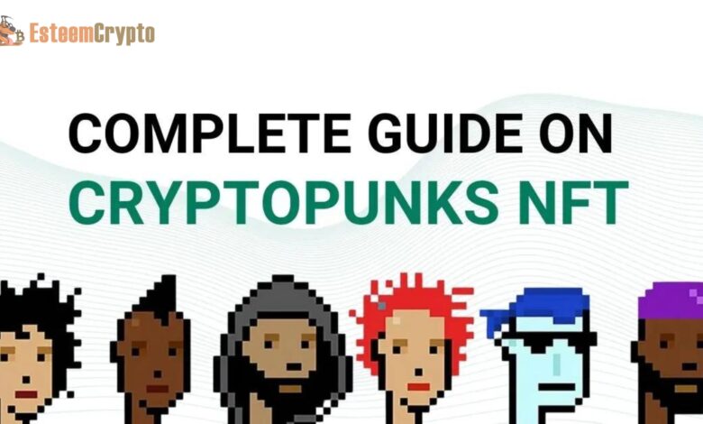 CryptoPunks NFTs: A Complete Guide By Esteemcrypto
