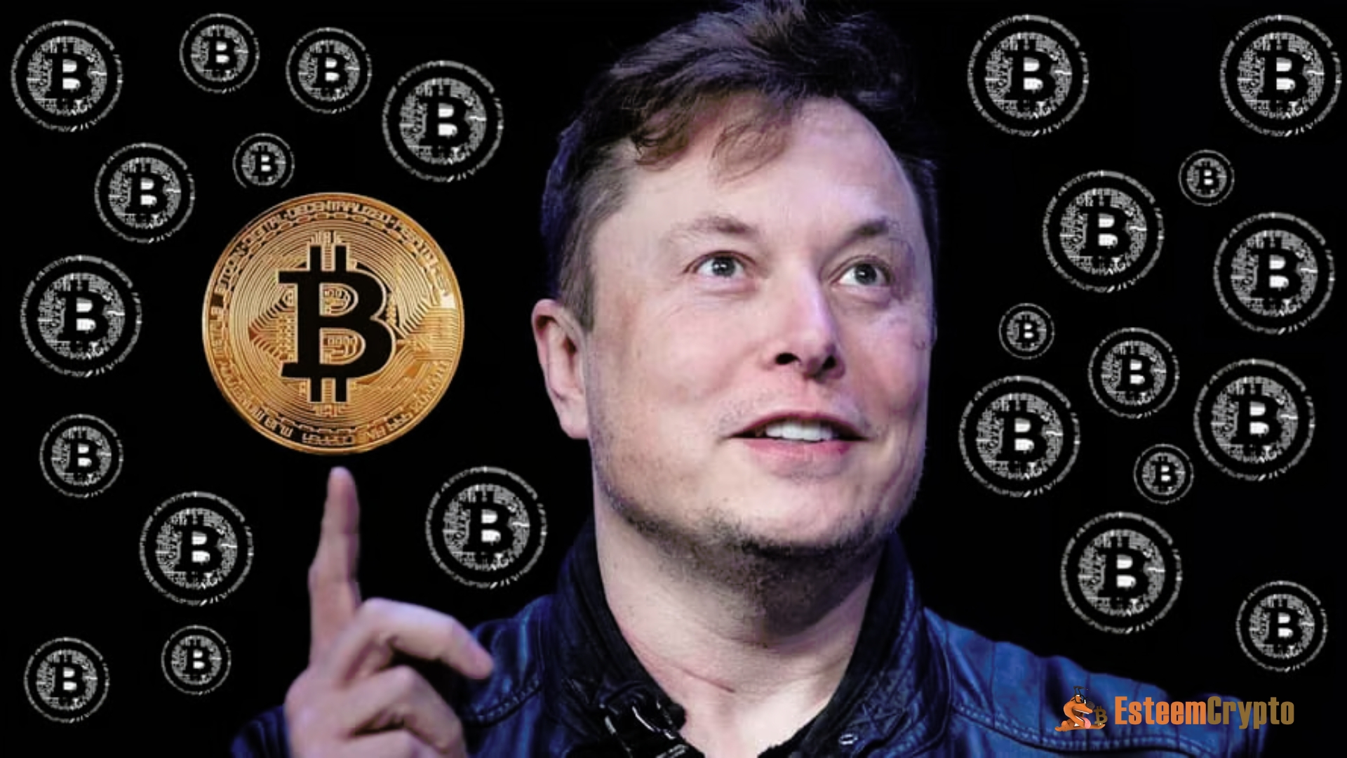 Elon Musk, @ElonMusk