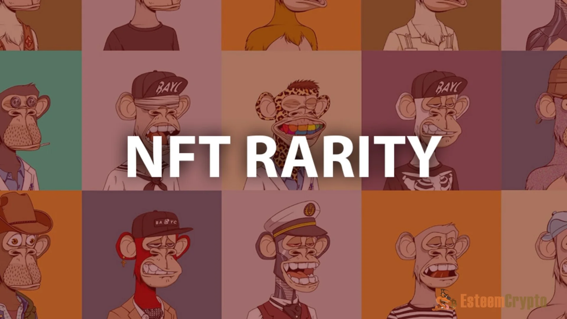 What is NFT Rarity Checker?