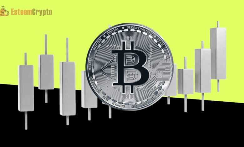 Track Crypto Prices: A Complete Beginner Guide