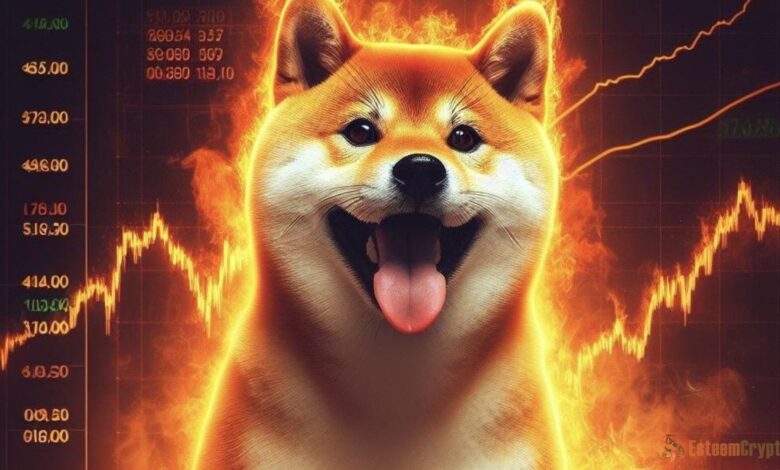 Dogecoin Burn: A New Chapter in the Meme Coin’s Evolution
