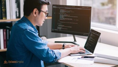 Optimistic Blockchain: Future for Decentralization and Innovation