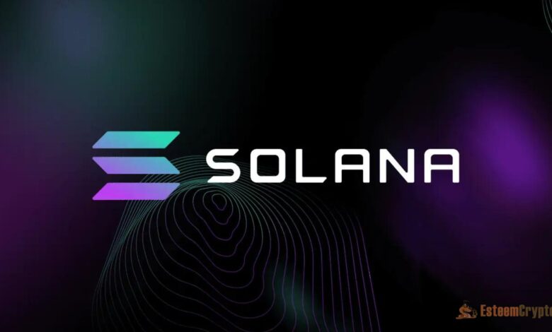 The Fastest Blockchain Networks in 2024: A Complete Overview