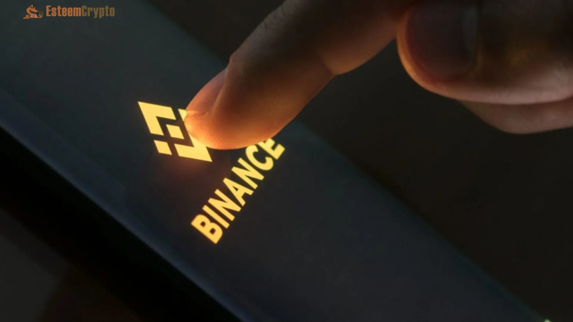 Binance is a Wallet: The Platform's Crypto Storage Role