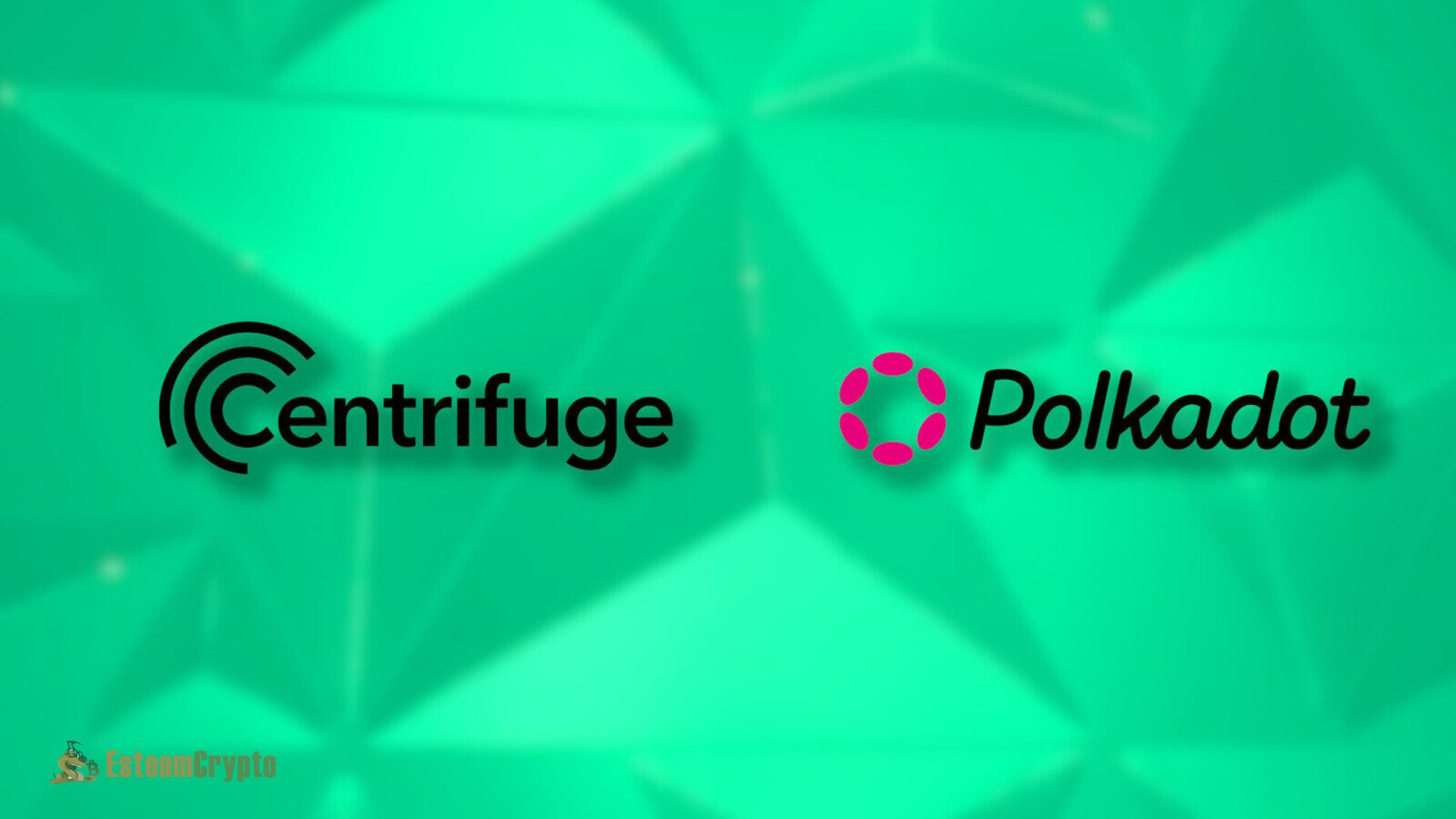 Centrifuge’s Role in the Polkadot Ecosystem