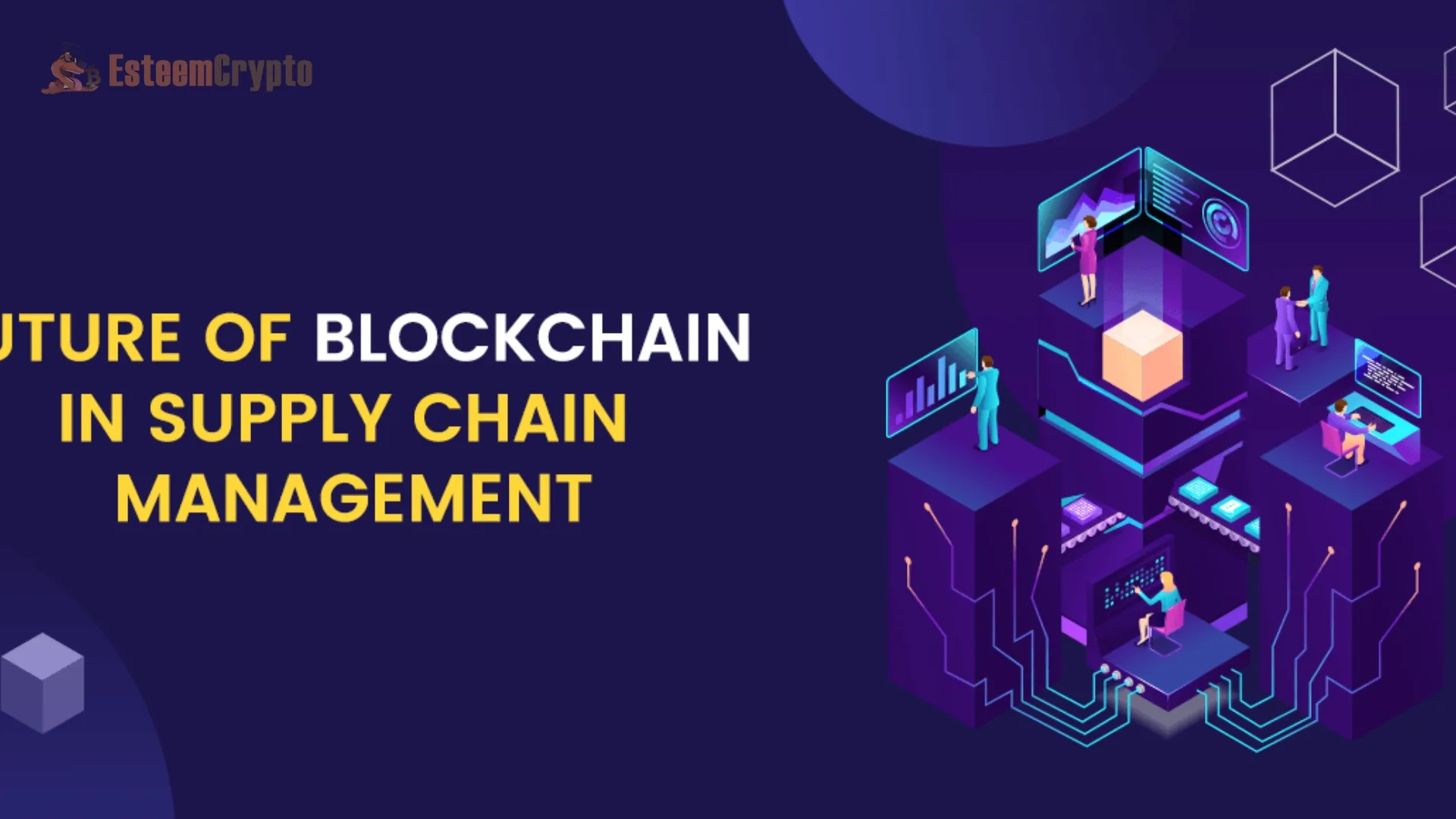 Future Prospects of Blockchain in Supply Chains