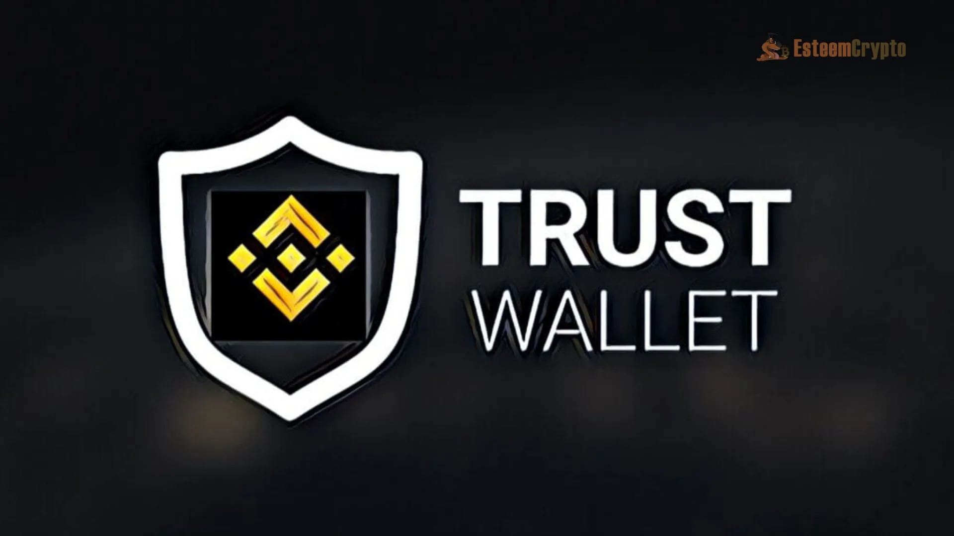 Is Binance a Wallet You Can Trust?