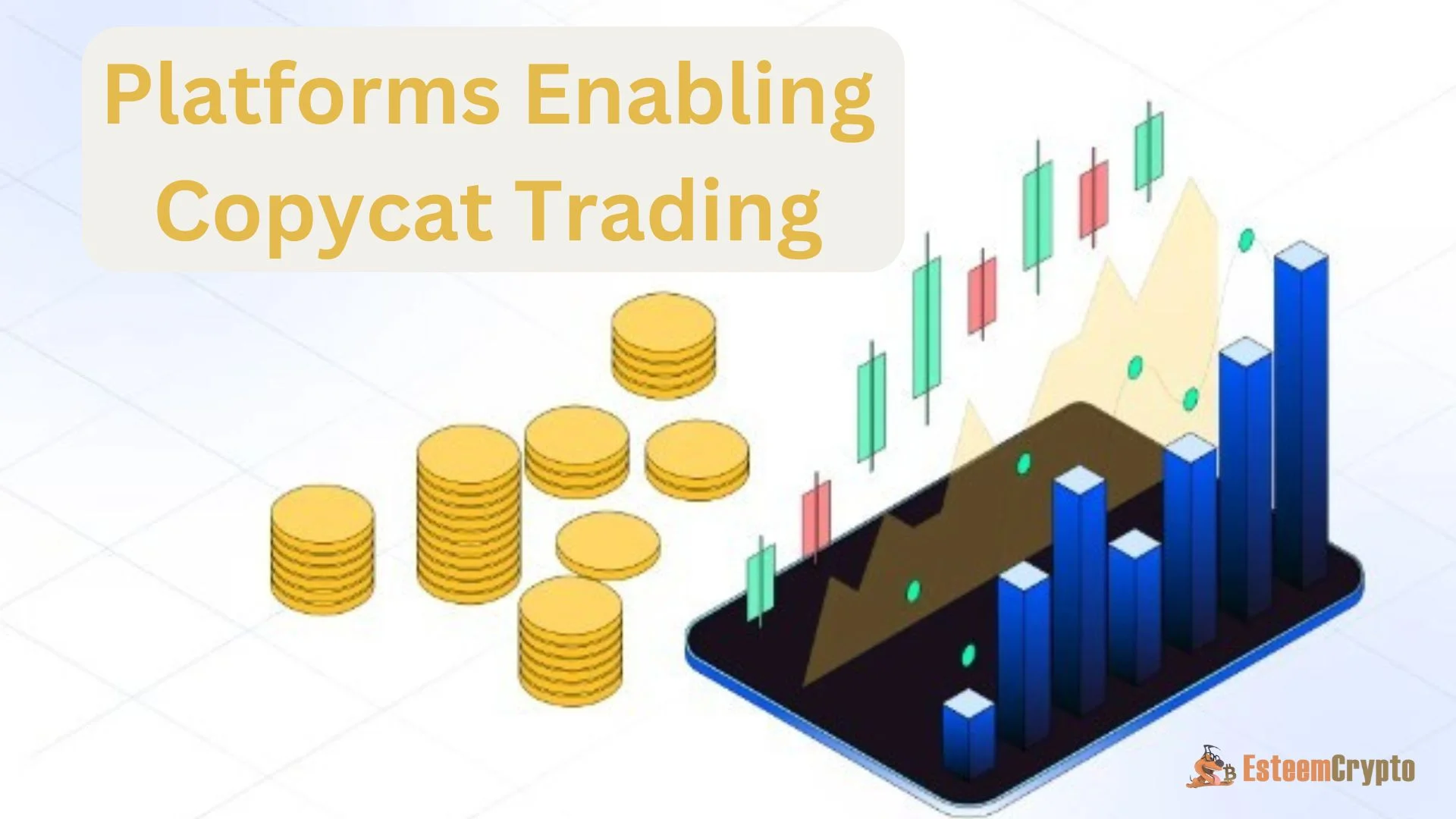 Platforms Enabling Copycat Trading