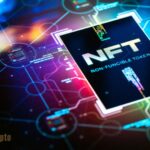 NFT Distribution Services: Main disbursements &company updates