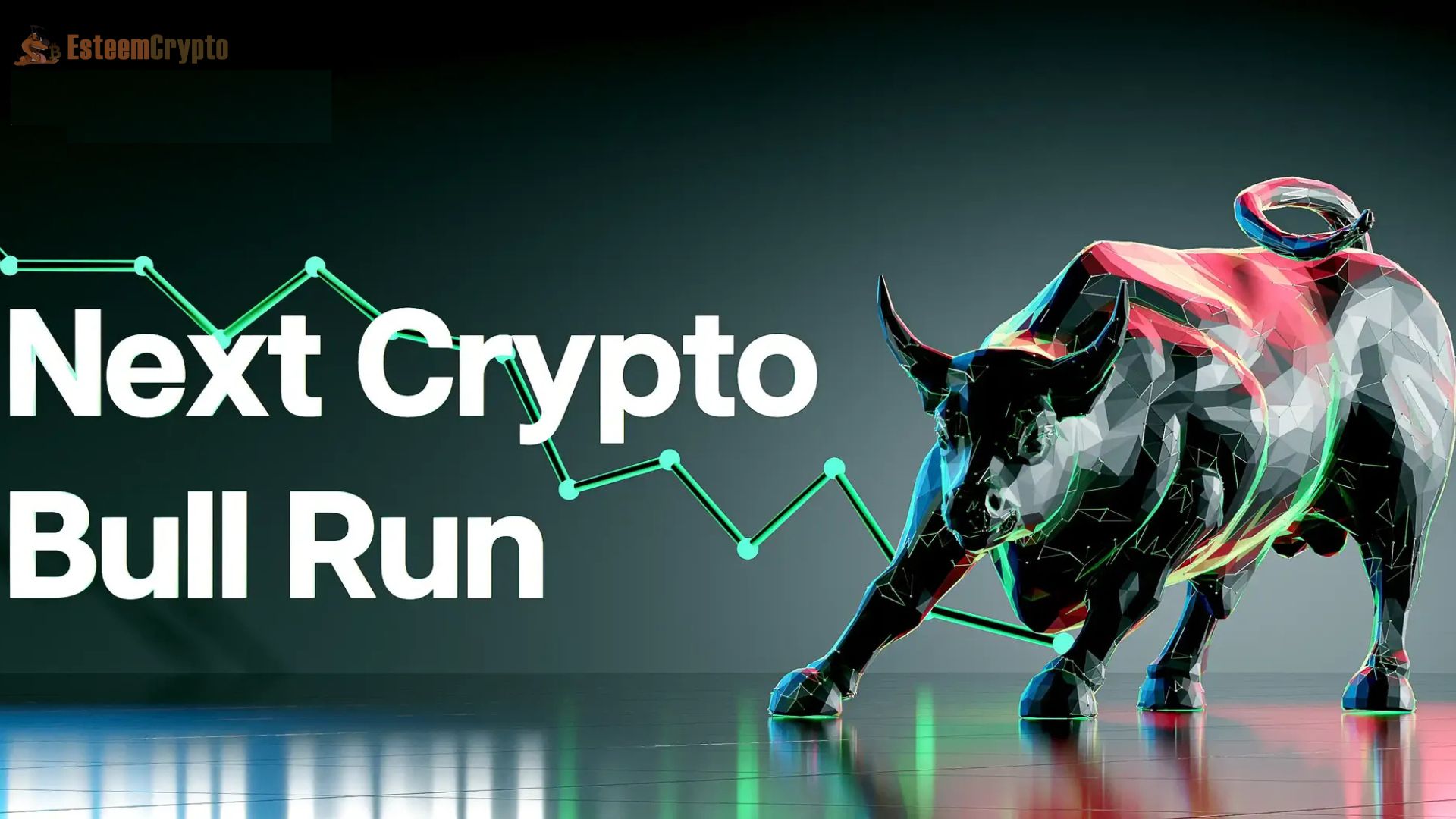 The Next Bull Run in Crypto What You Need to Know