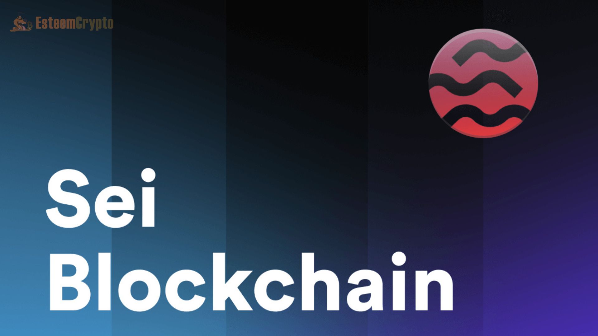 Unlocking the Power of the Sei Blockchain Explorer