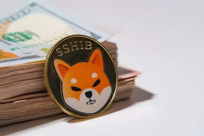 Sharp Decline in Shiba