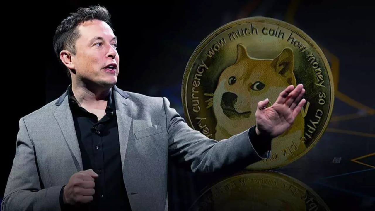 Elon Musk Joins Dogecoin Founder to the DOGE Team