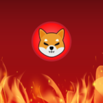 Shiba Inu's 600% Burn