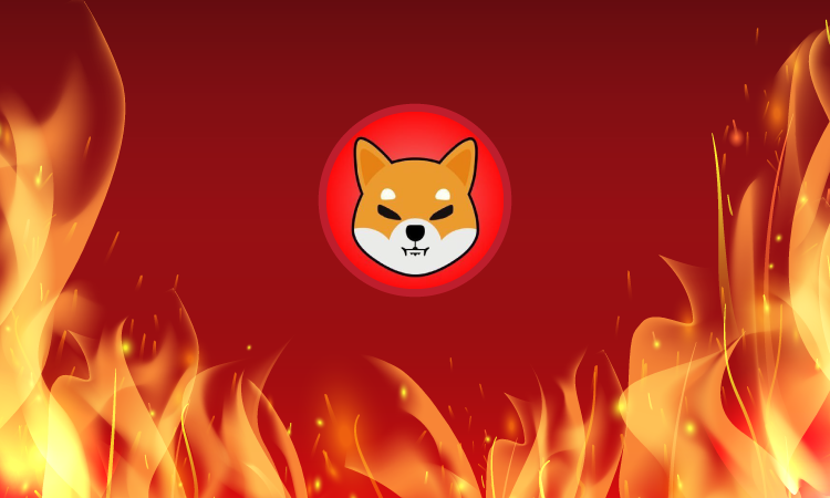 Shiba Inu's 600% Burn