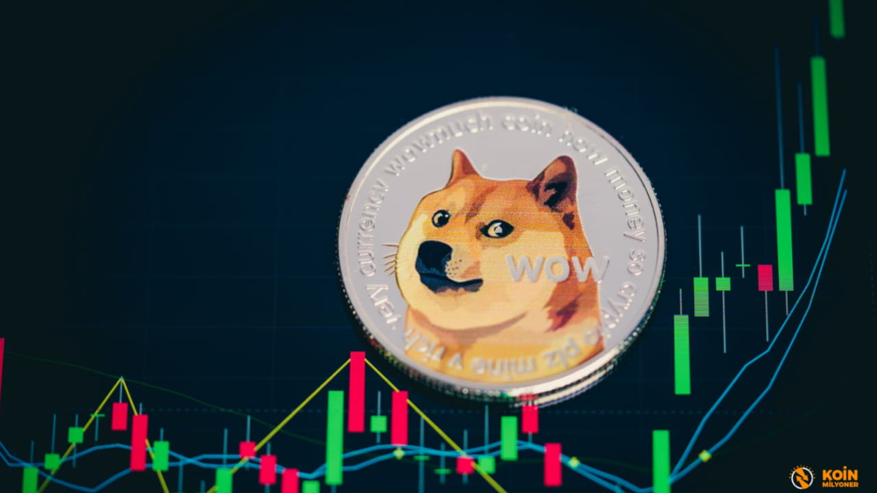 Dogecoin Decline Rexas Rise