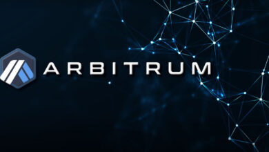 Arbitrum Optimism and Base