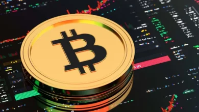 Bitcoin Market Update