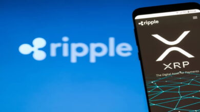 Ripple vs SEC XRP's Future