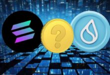 Solana vs Sui Blockchain