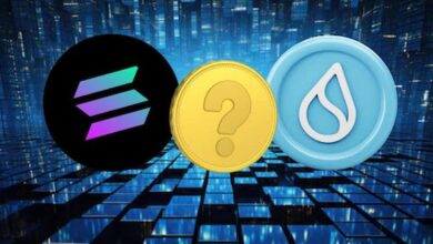Solana vs Sui Blockchain