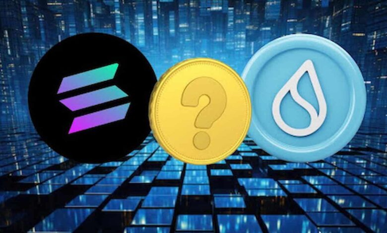 Solana vs Sui Blockchain