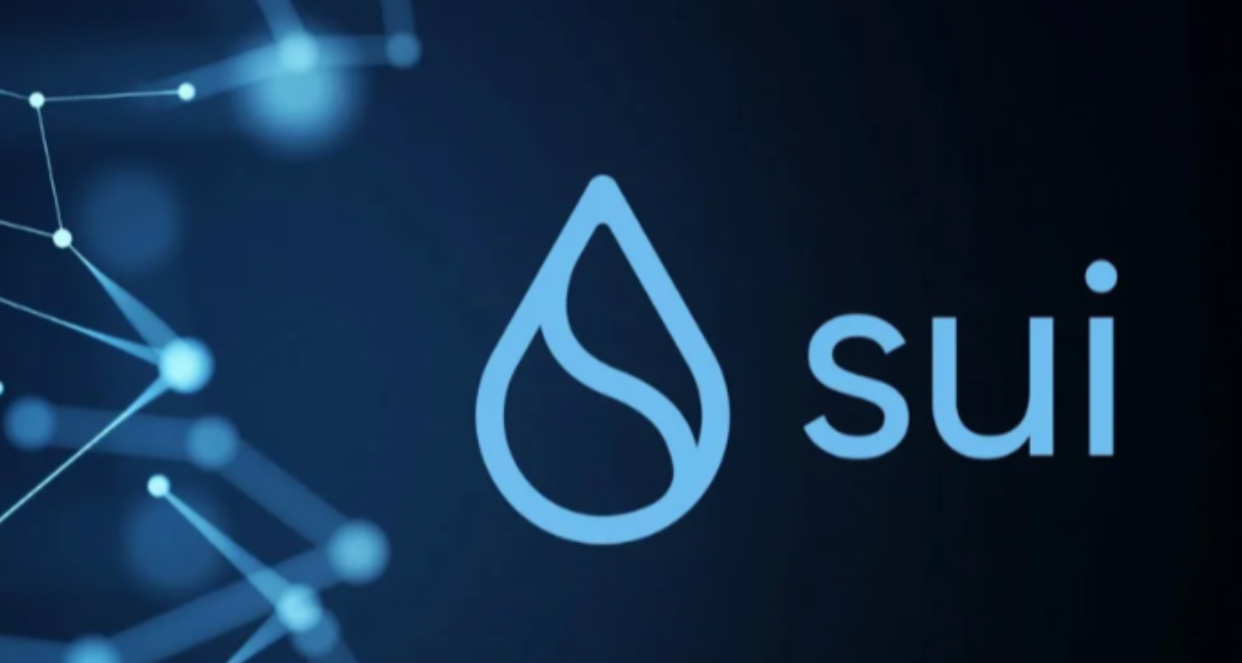 Sui's Blockchain Potential