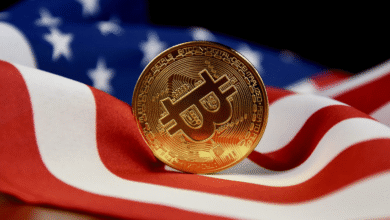 U.S. Government’s Strategic Reserve of Seized Cryptocurrencies