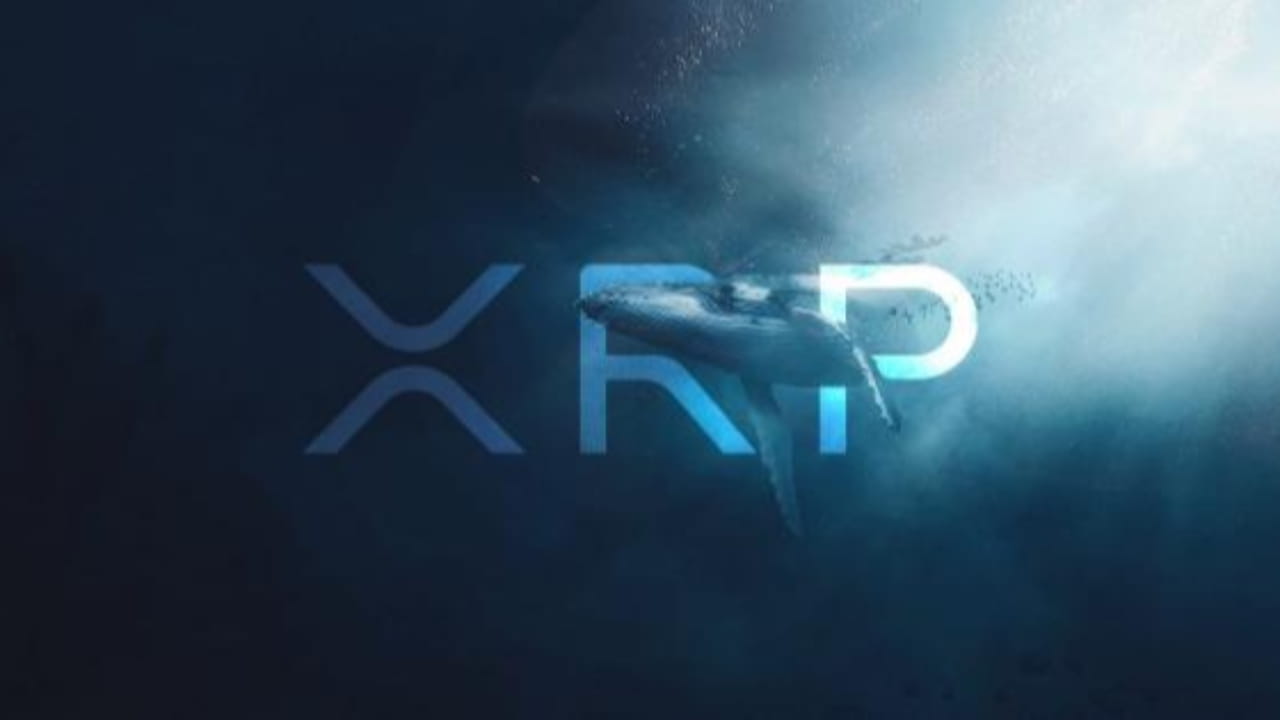 XRP Faces Regulatory Uncertainty