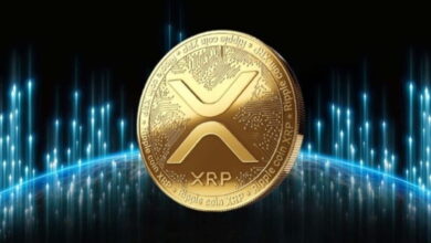 XRP alternatives