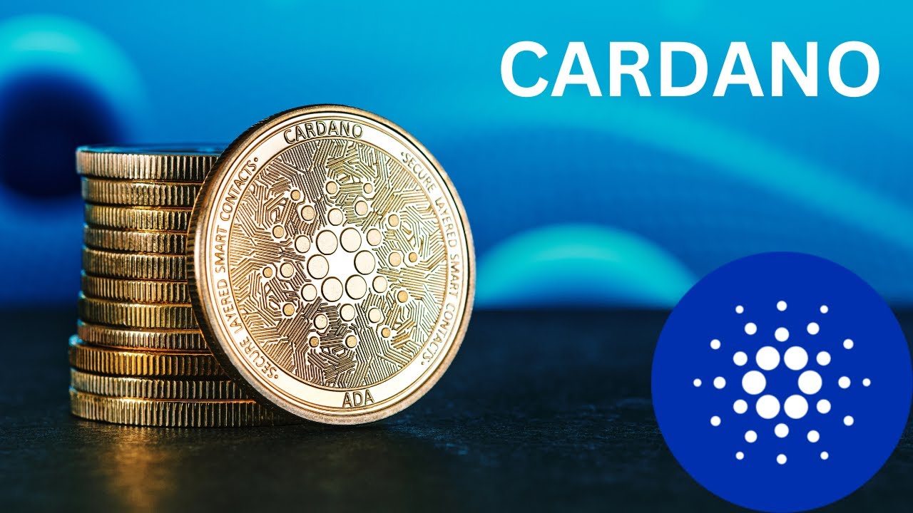 XRP and Cardano's Role in Advancing DeFi