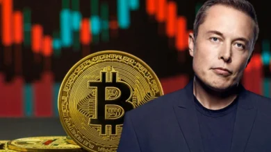 Bitcoin Price Decline: Elon Musk