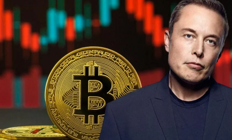 Bitcoin Price Decline: Elon Musk