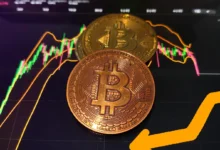 Bitcoin Spot ETF Outflows Risk Bitcoin Price Decline and Market
