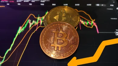 Bitcoin Spot ETF Outflows Risk Bitcoin Price Decline and Market