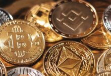 Bitcoin's Stability Above $105,000 and Altcoin Market Trends