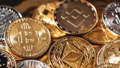 Bitcoin's Stability Above $105,000 and Altcoin Market Trends